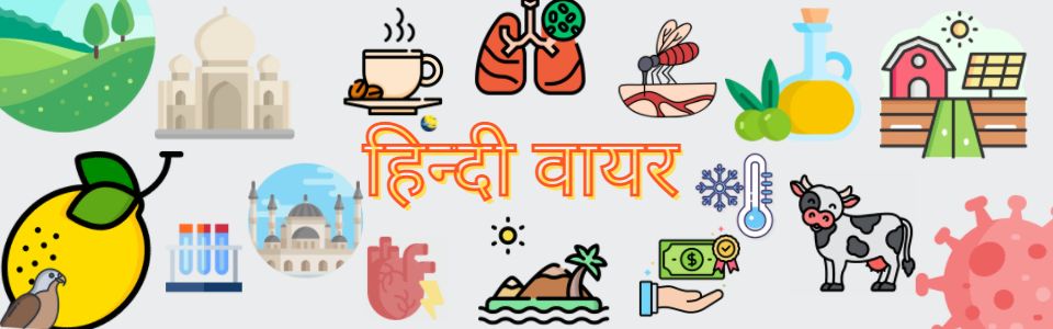 जानकारी के स्त्रोत 1 hindi wire banner