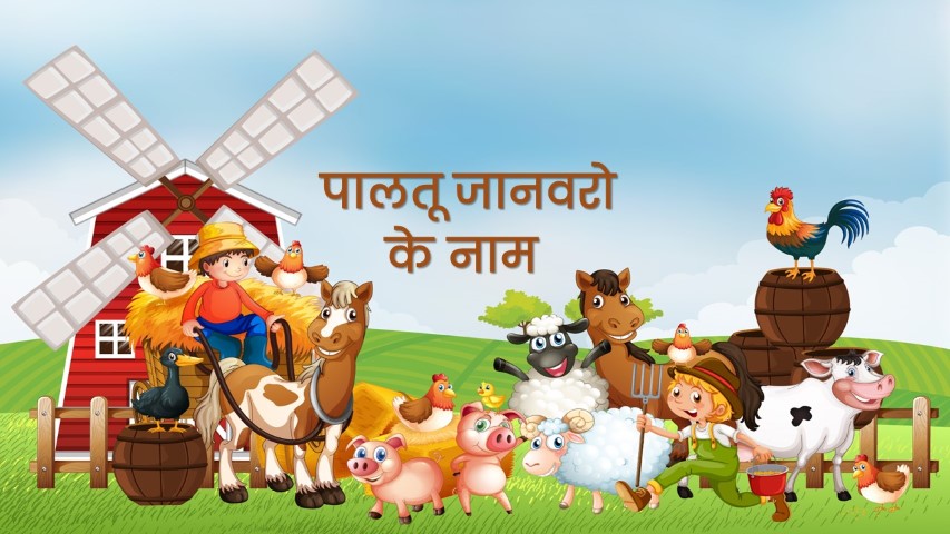 पालतू जानवर के नाम हिंदी में 1 पालतू जानवर के नाम हिंदी में