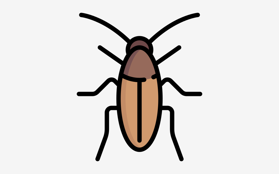 कॉकरोच के खून का रंग कैसा होता है?