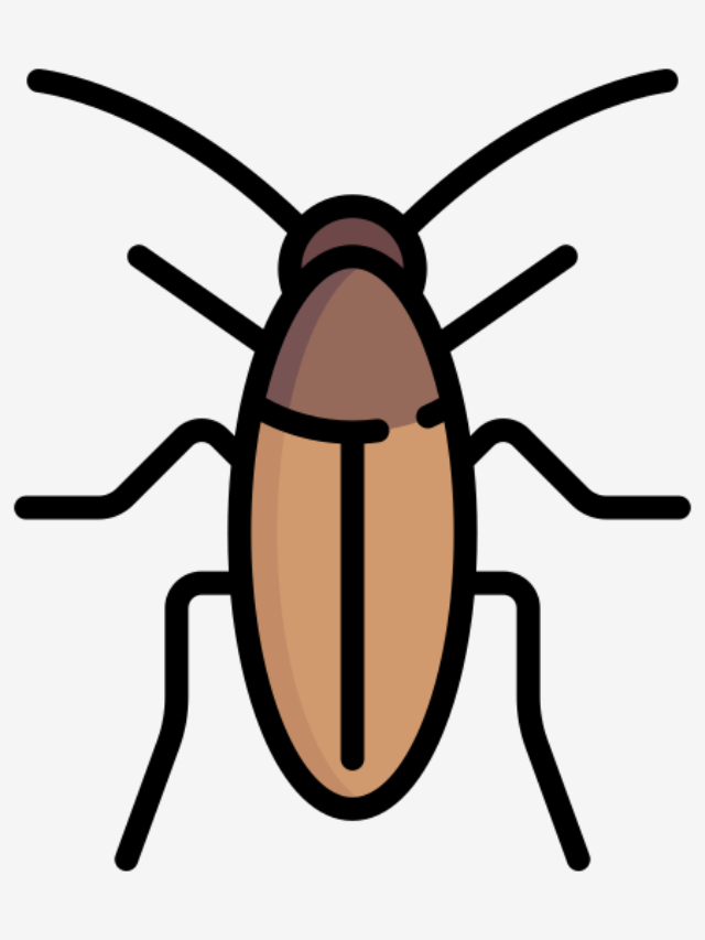 कॉकरोच के बारे में कुछ रोचक तथ्य