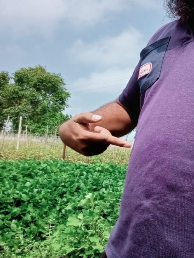 जानिए हफ्तों में पेट कम कैसे करे ?