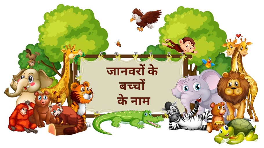 20+ जानवरों के बच्चों के नाम हिंदी और अंग्रेजी में