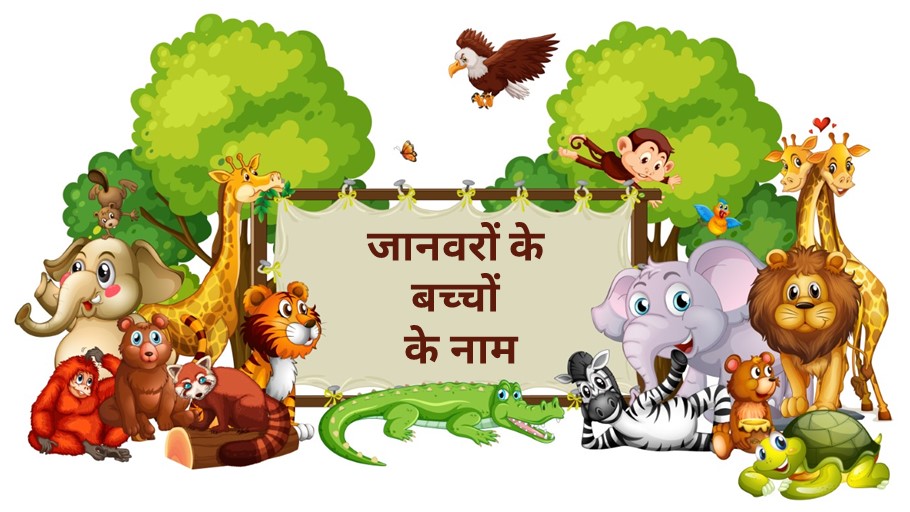 20+ जानवरों के बच्चों के नाम हिंदी और अंग्रेजी में 20+ जानवरों के बच्चों के नाम हिंदी और अंग्रेजी में