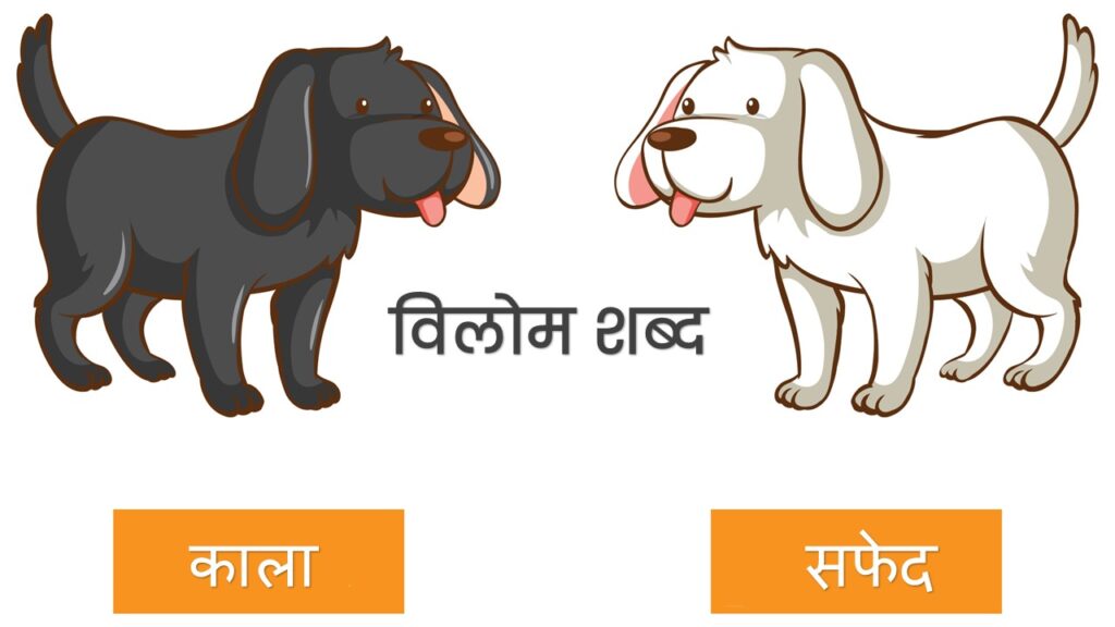 100+ विलोम शब्द हिंदी में 1 100 विलोम शब्द हिंदी में