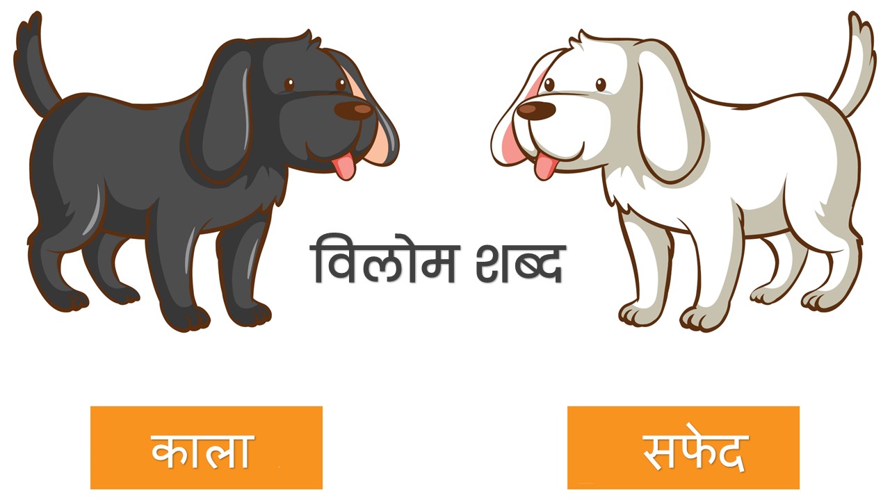 100+ विलोम शब्द हिंदी में 8 100+ विलोम शब्द हिंदी में