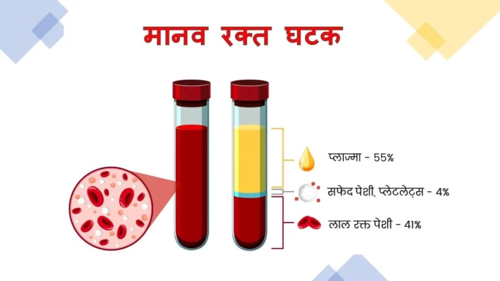प्रेगनेंसी में ब्लड (हीमोग्लोबिन) के स्तर का महत्व 1 प्रेगनेंसी