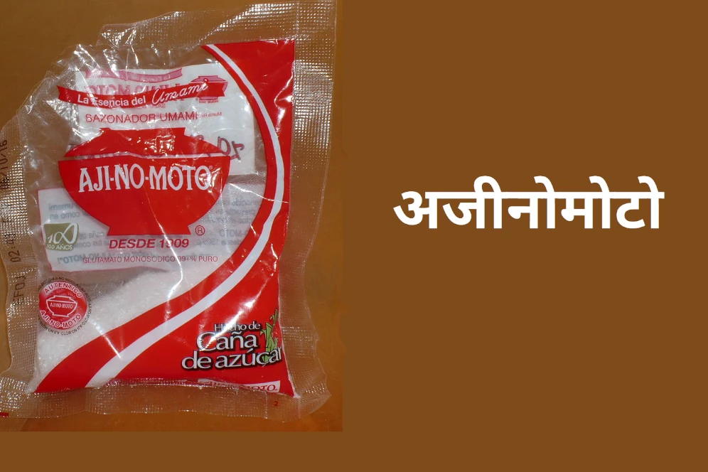 जानिए अजीनोमोटो क्या होता है? 1 ajinomoto