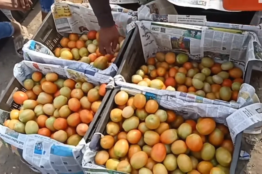 आखिर क्यों बढ़ जाती है टमाटर की कीमतें? 1 tomatoes in mandi
