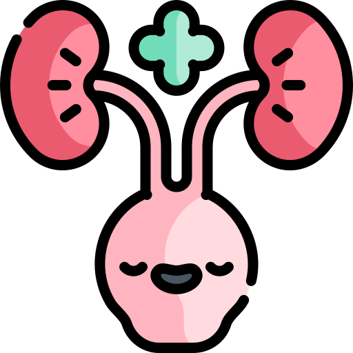 यूरिन इन्फेक्शन क्या है और कितने दिन में ठीक होता है? 11 यूरिन इन्फेक्शन क्या है और कितने दिन में ठीक होता है?