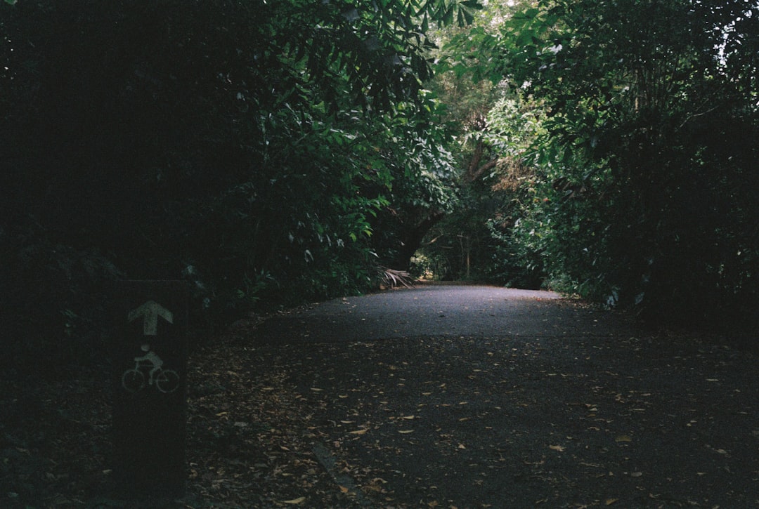 बाग में रौशनी का जादू: सोलर गार्डन लाइट्स की खूबसूरती