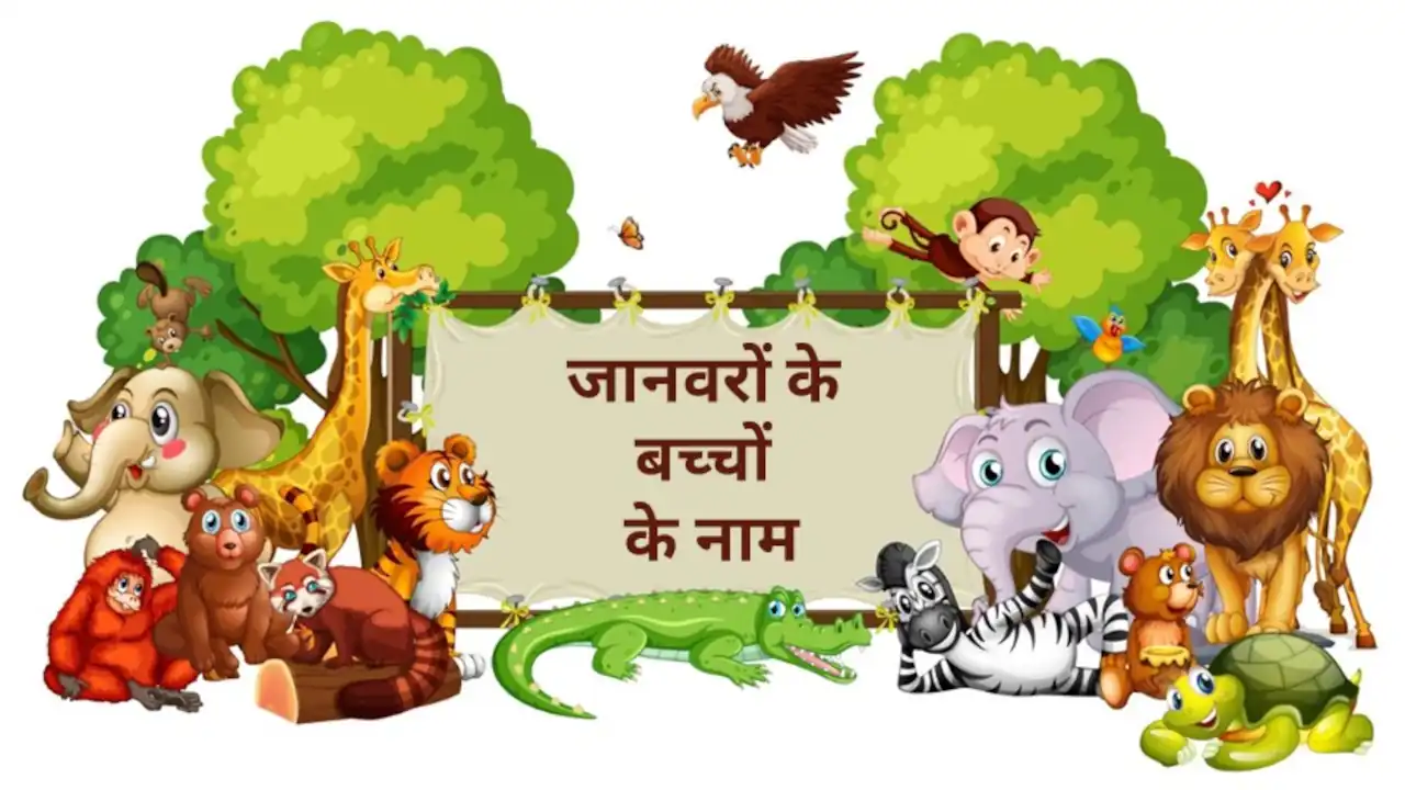 20+ जानवरों के बच्चों के नाम हिंदी और अंग्रेजी में 12 20+ जानवरों के बच्चों के नाम हिंदी और अंग्रेजी में