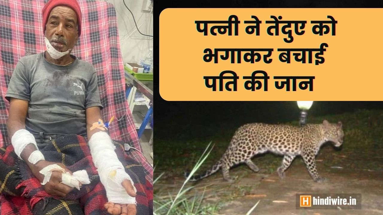 Pune: काल आया था लेकिन समय नहीं । ‘शेरनी’ पत्नी ने तेंदुए के हमले से पति को बचाया