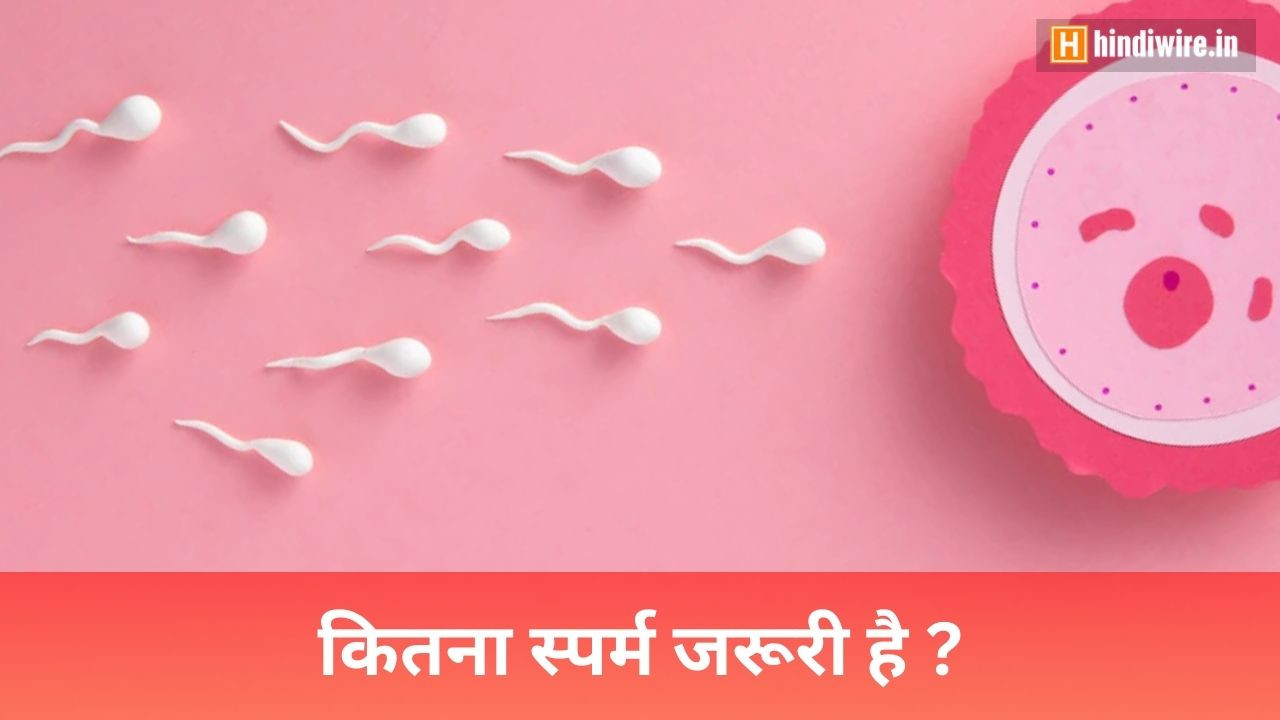 जानिए प्रेग्नेंट होने के लिए पुरुष का स्पर्म कितना होना चाहिए?