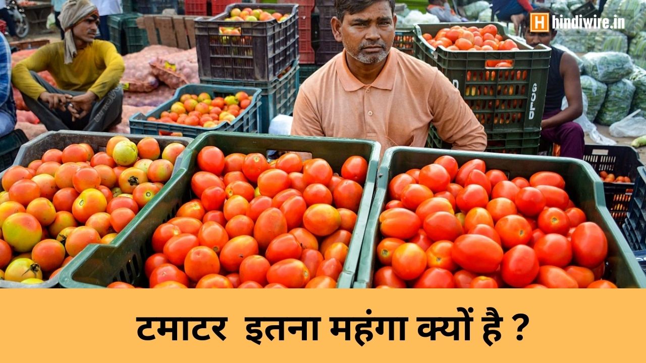 जानिए टमाटर महंगा क्यों है? और कब तक इसके दाम कम होंगे?